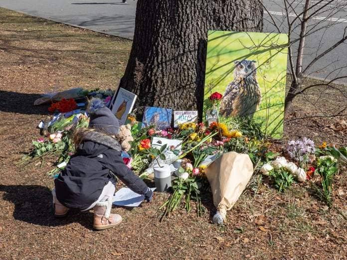 An impromptu memorial grew in Central Park to celebrate the beloved zoo escapee, Flaco, a Eurasian eagle owl. 