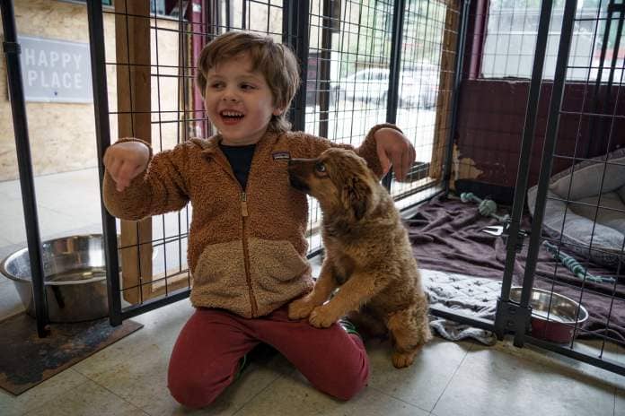 Camden Crawford, 3, of Freeland receives a puppy kiss from Cierra at the Critters and Co. Pet Center. (Photo by David Welton)