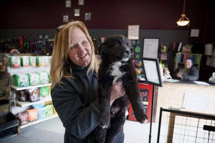 Debbie Wilkie with Clancy, a nine-week-old puppy that was found in front of a Moses Lake Walmart. (Photo by David Welton)