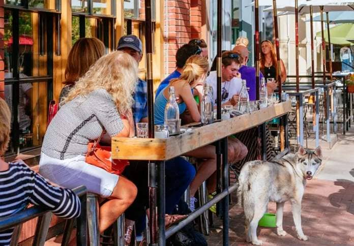 Pawsitively Perfect: The Ultimate Guide to Dog-Friendly Activities in Boulder, Colorado