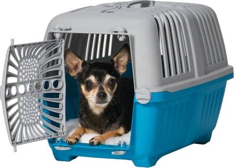 Midwest Spree Hard-Sided Dog and Cat Kennel