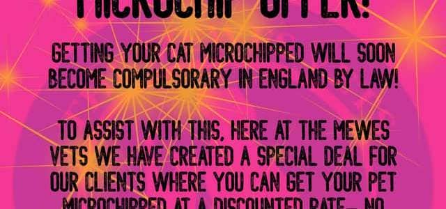 Microchip offer