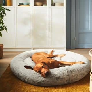 IKEA UTSÅDD bed with a dog sleeping in it