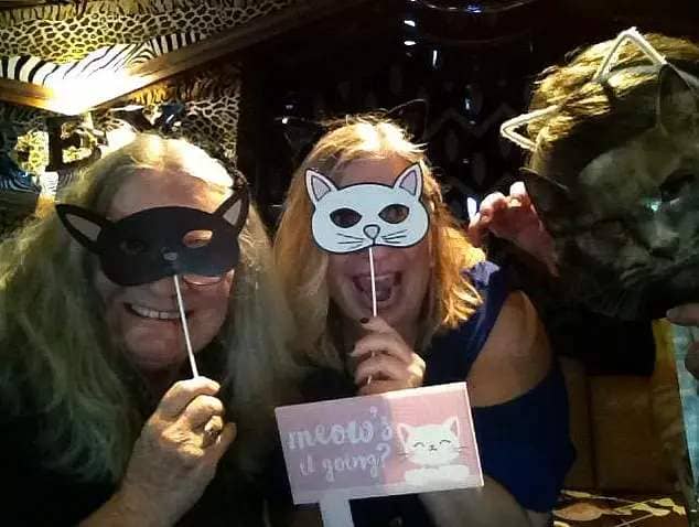 Meow Meow Cruise generally offers one feline-themed trip a year