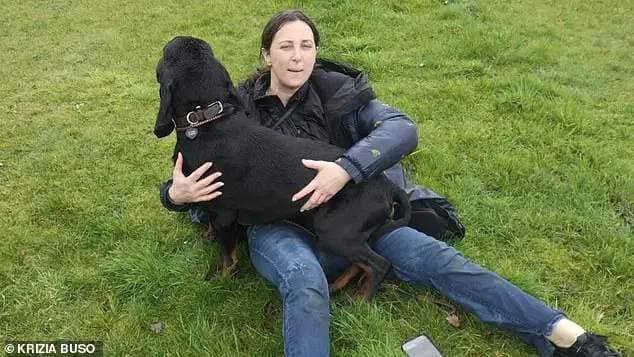 A dog who went missing before she took to the Crufts showring on Sunday was found eight miles away - after a two-day search involving a drone