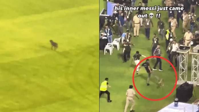 Dog isnt football: Dog kicked during IPL match; netizens slam security