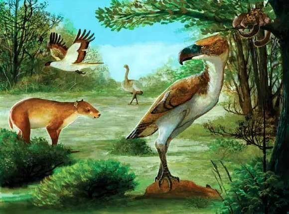 Paleoenvironmental reconstruction of the Early Eocene continental communities of Seymour Island: a large cariamiform bird hunting a medium-sized ungulate and staring at Notiolofos regueroi, a couple of marsupials on a tree, Antarctoboenus carlinii flying on the sky, and a flightless Ratites in the back. Image credit: Carolina Acosta Hospitaleche & Washington Jones, doi: 10.26879/1340.