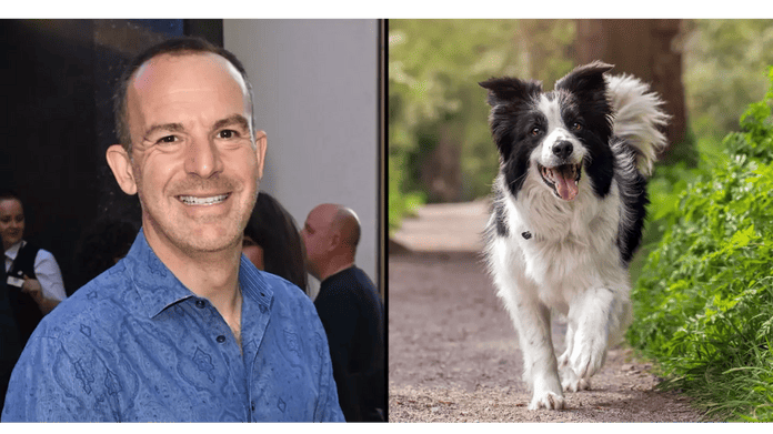 Martin Lewis issues urgent warning to all dog owners in the UK