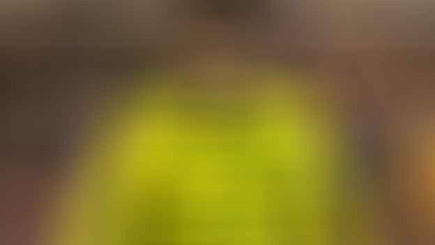 Norwich City midfielder Gabriel Sara