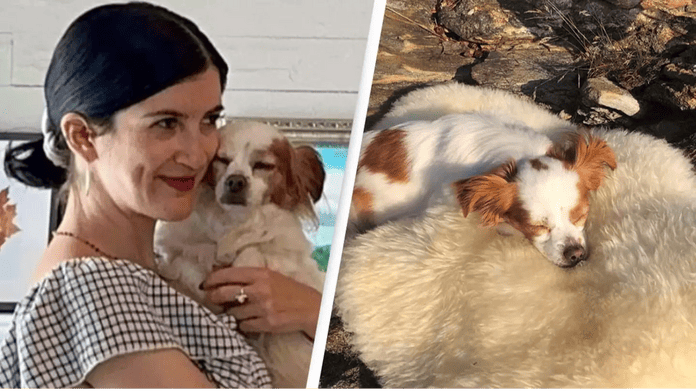 People are determined to reunite woman with dog after discovering emergency vet lost her dog