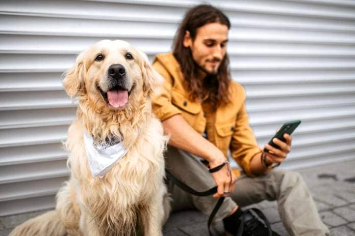 Portrait of a young handsome man and his golden retriever dog sitting on a floor in a front of a white garage door, using smart phone, taking a rest.