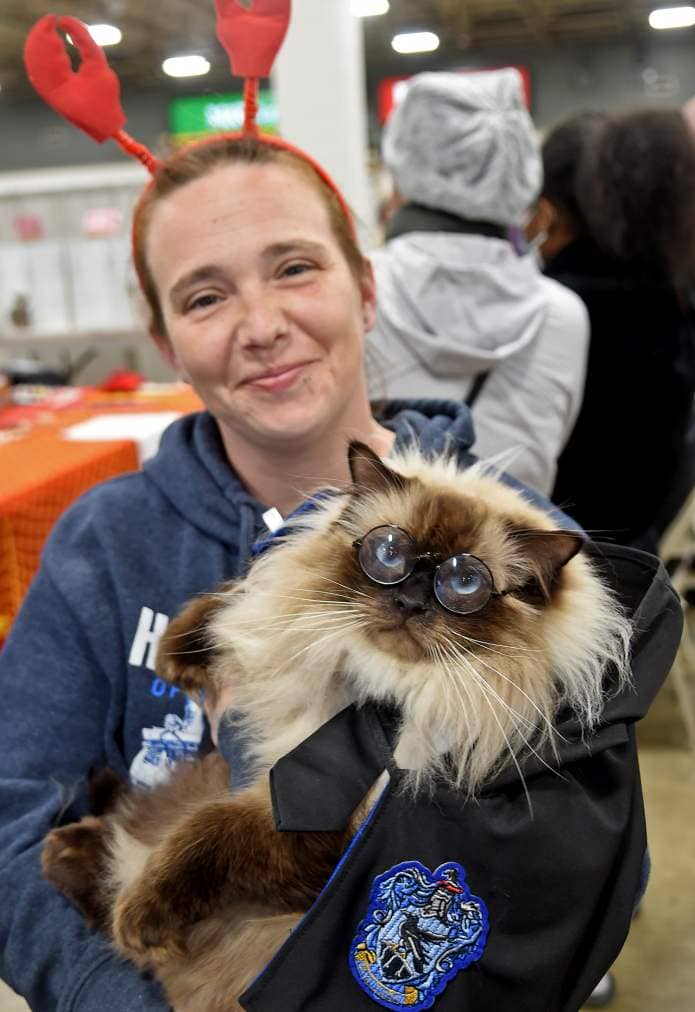 March 9, 2024: Raquel Russell of Wapwallopen PA holds her 4 year old Ragdoll "Gunther," who is dressed as Harry Potter for the cat dress-up contest, at the Crab & Mallet Cat Club's all-breed cat show, held this weekend at the Timonium Fairgrounds. (Barbara Haddock Taylor/Staff)