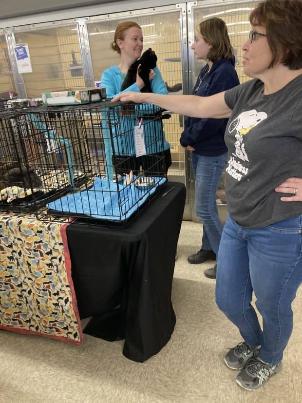 Winky Cats Secretary Margie Netzel holds one of the cats up for adoption at PetSmart in Mentor while her daughter, Emily, and President Kim Carpenter look on during a Feb. 25 event. (William Tilton - The News-Herald)