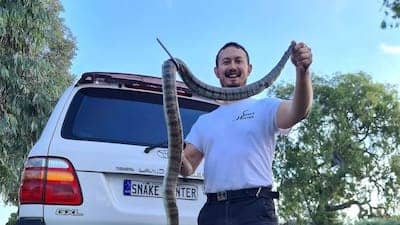Mark Pelley holding a snake he has just captured.
