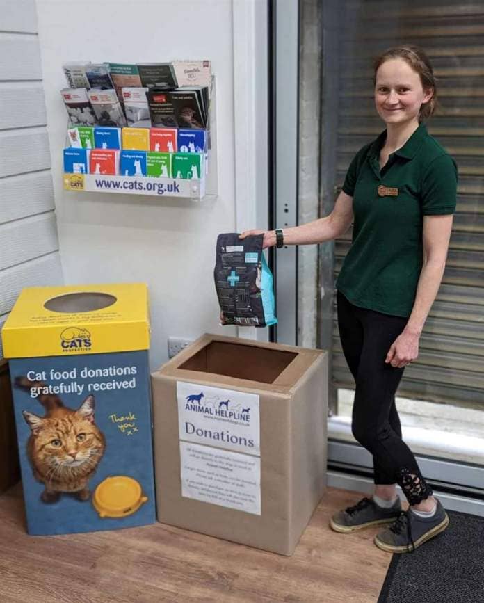 Laura Brooke-Rogerson is collecting donations for animal charities. Photo: Wildwood Pets
