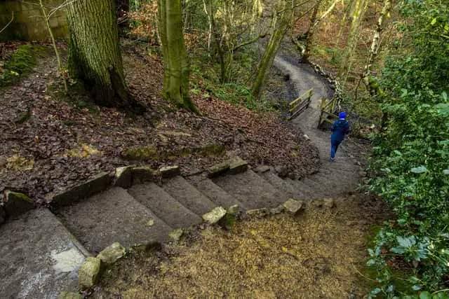 Ecclesall Woods is rated 4.5 by Trip Advisor, makes a great walk for the dog and can easily end at The Prince of Wales Pub near the Porter Brook Valley. 
