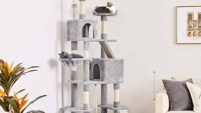 Cats in a cat tree