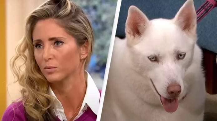 Woman who insisted her dog was vegetarian proved wrong in 'seconds' on live TV