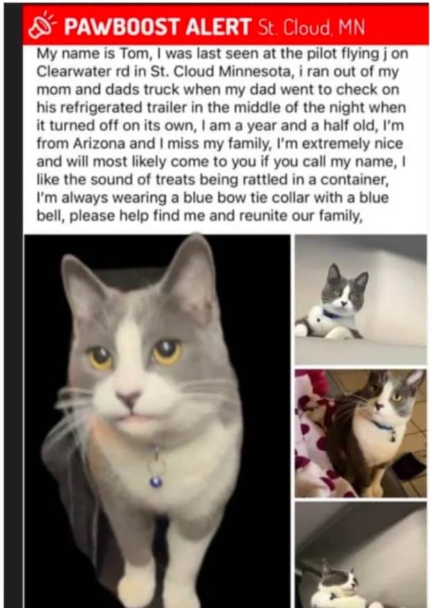 online announcement regarding a lost cat