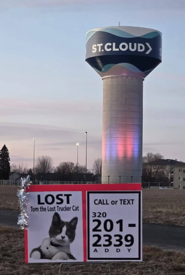 a roadside sign regarding a lost cat