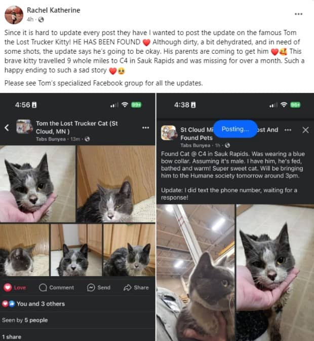 Facebook posts about a lost cat