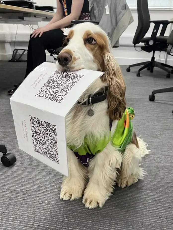 moose the dog holding a qr code