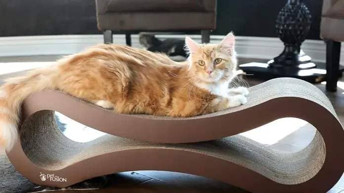 PetFusion cardboard cat lounge