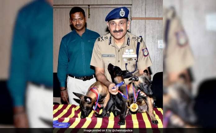 Pups Carlos, Charles, Lando Join Chennai Police Canine Squad