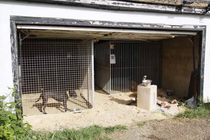 A garage containing kennels at the Leadleys’ address (RSPCA/PA)