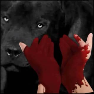 Bloody hands and black pit bull dog.