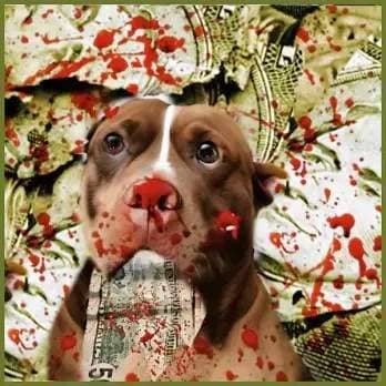 Pit bull with blood money.