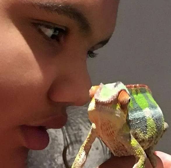 Katie has owned a string of different animals, and even had a pet chameleon named Marvin (pictured with her son Harvey)