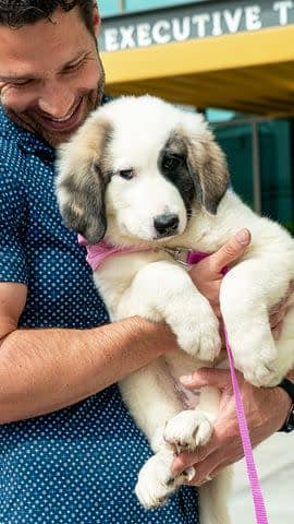 <p>Cirrus</p> Aaron O'Connell holding Patches the puppy