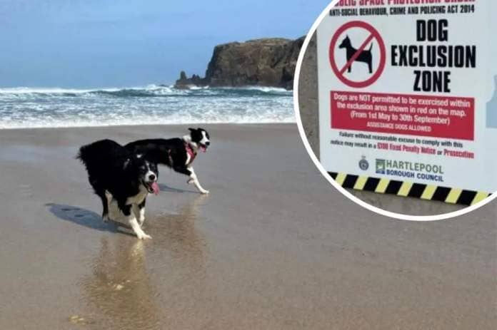 Beaches from Whitley Bay down to Saltburn had 'dog-free' zones for the summer period until <i>(Image: NORTHERN ECHO)</i>