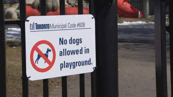 A sign reading "No dogs allowed in playground" sits on the fence of Little Norway Park, where a child was mauled by a dog and left with "life-altering injuries" on Saturday, March 23.