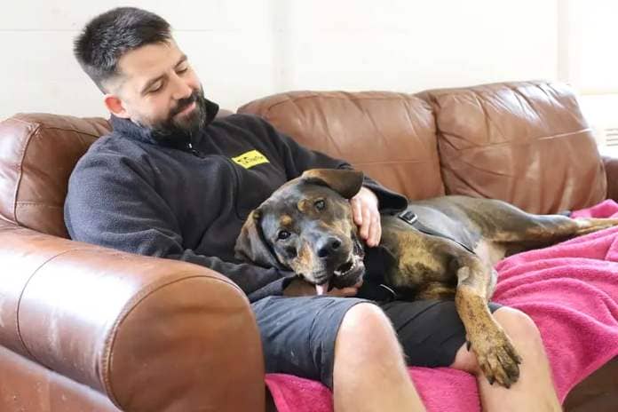 Zena enjoyed a snuggle session in the centre’s ‘Real-Life room’, a space where the dogs can get used to things they will find in their forever homes like furniture and electrical appliances, but for the one-year-old Rottweiler Staffy Crossbreed, it’s a place to get loads of snuggles on the sofa.
