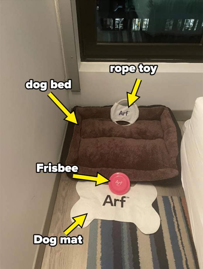 Pet-friendly hotel room with a dog bed, bone-shaped mat, and food bowls