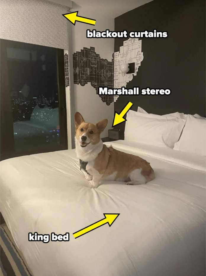 A Corgi dog sits on a bed with city night view and unique artwork above