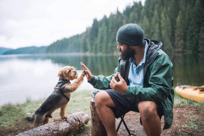 https://www.gettyimages.co.uk/detail/photo/young-bearded-man-and-his-dog-giving-high-five-to-royalty-free-image/1328411209