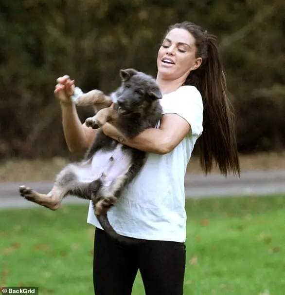 Katie bought another Alsatian named Bear in November 2018 for £1,000, but gave him away six months, after he had three near death experiences in a matter of weeks (pictured)