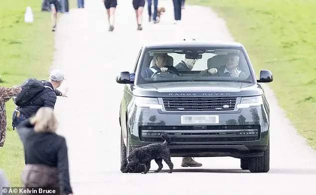 The man does not realise at first that his beloved pet is in front of the royal's car