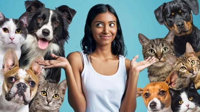  https://www.gettyimages.co.uk/detail/photo/large-group-of-cats-and-dogs-looking-at-the-camera-royalty-free-image/1417882544