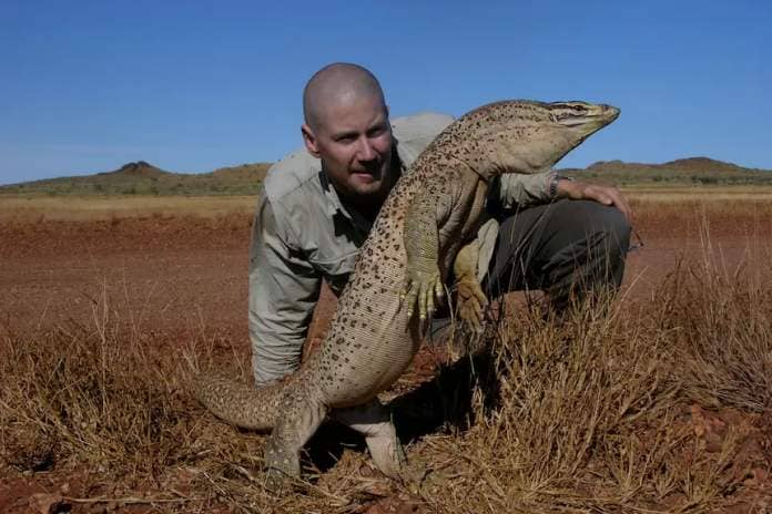 Professor Bryan Fry kneels down next to a large desert spotted goanna, which is standing up on its hind legs.