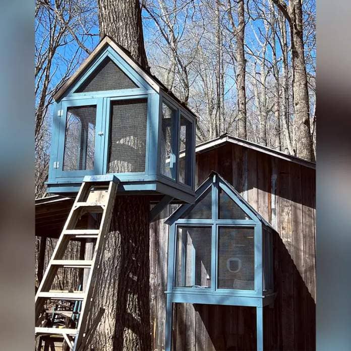  Nahimana Forest, Sean Dolan, Amber Wilkes Dolan, catio treehouse, Boone, North Carolina, catwalk, outdoor space for cats, 8