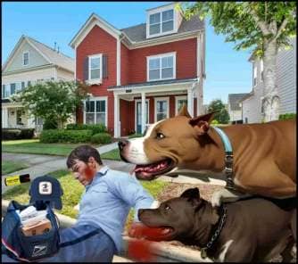 Dogbite prevention week 2024. Pit bulls attack Mail carrier.