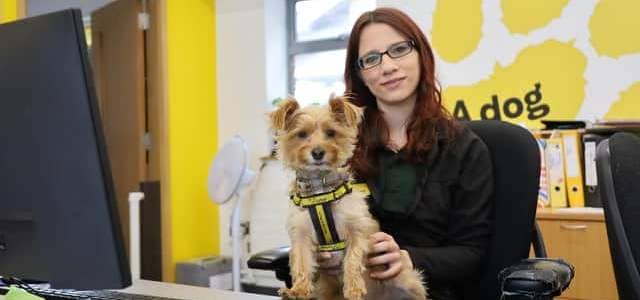 Finn was adopted by Dogs Trust Leeds receptionist Megan Aguirregoicoa