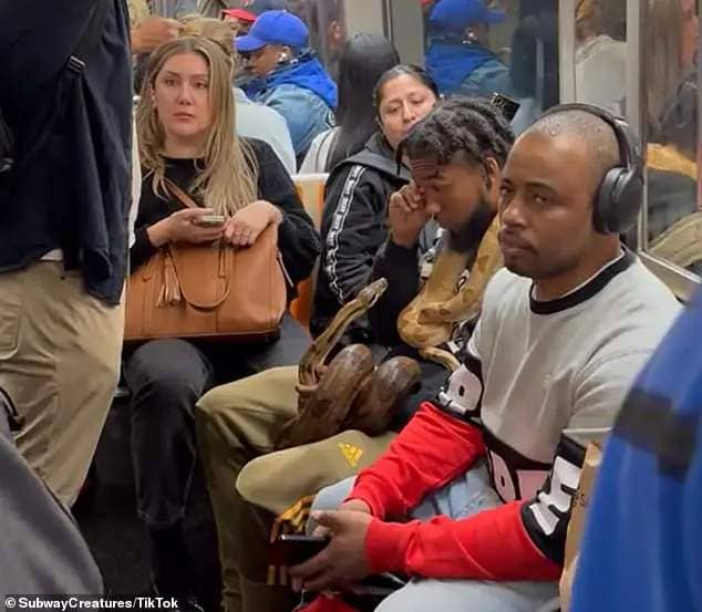 A daring NYC subway passenger brought two ginormous snakes onto a packed train to the shock and horror of fellow riders