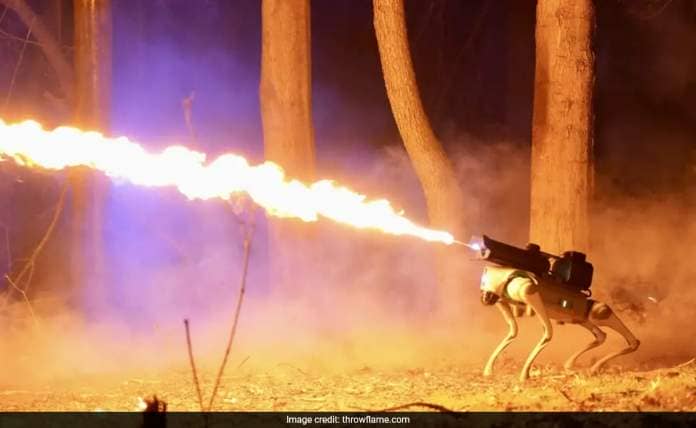 Thermonator: US Company Unveils Flamethrower-Wielding Robot Dog