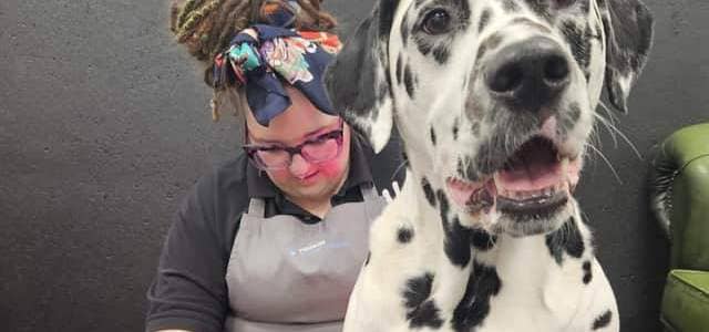 This year is the third time Yaz Porritt has been nominated for an Animal Star Award. The ceremony will be held in Nottingham on November 9. Picture: Yaz Porritt