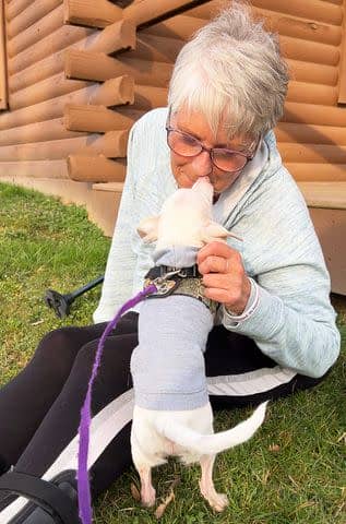 <p>Melissa Shapiro, DVM</p> Steph Bennett during her meeting with Piglet the dog